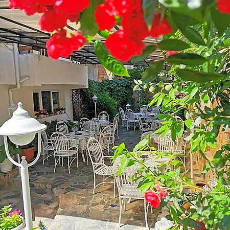 酒店 卡瓦勒尔酒店 索佐波尔